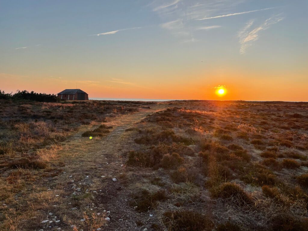 højskole i udlandet