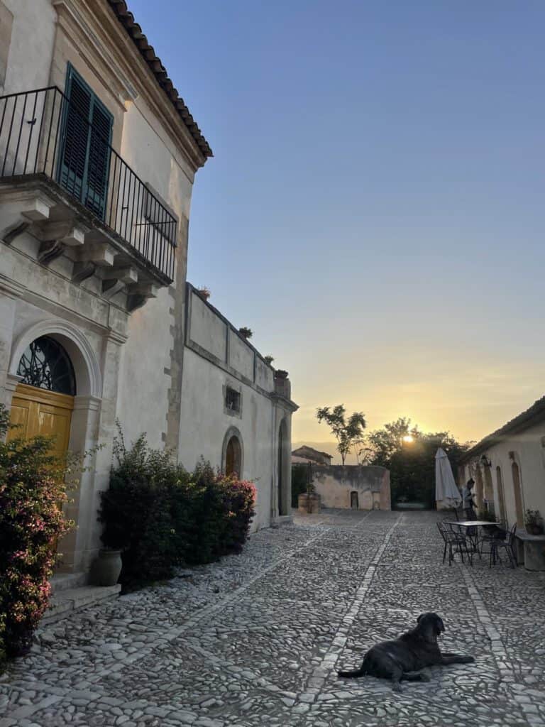 højskole i udlandet