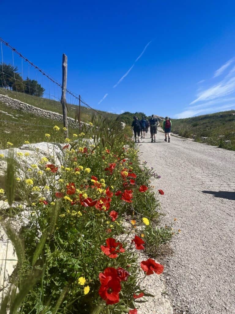 Vandrere på sti med blomster og blå himmel.