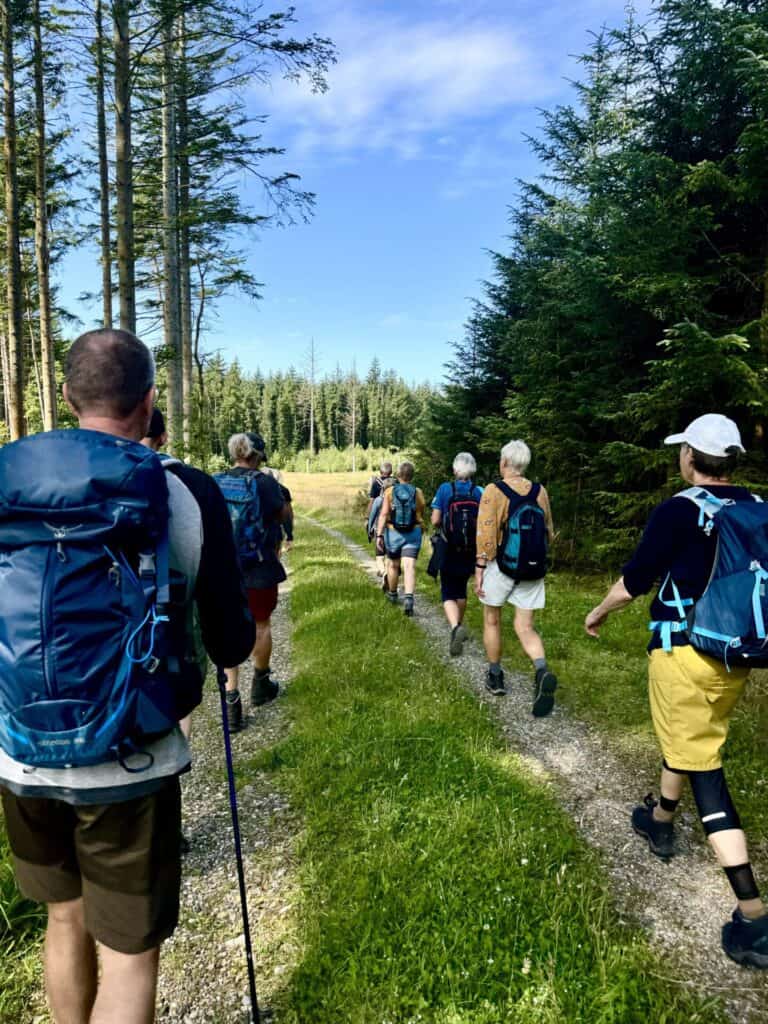 Vandrere i skovområdet på sti